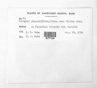 Image Associated With the Occurence